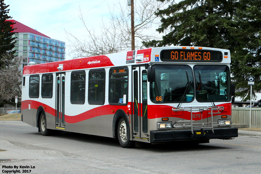 Buses | Transit55 Calgary